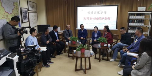 大同長城保護(hù)條例 文化沙龍第三期共獻(xiàn)良策，藝術(shù)活動(dòng)策劃為保護(hù)賦能